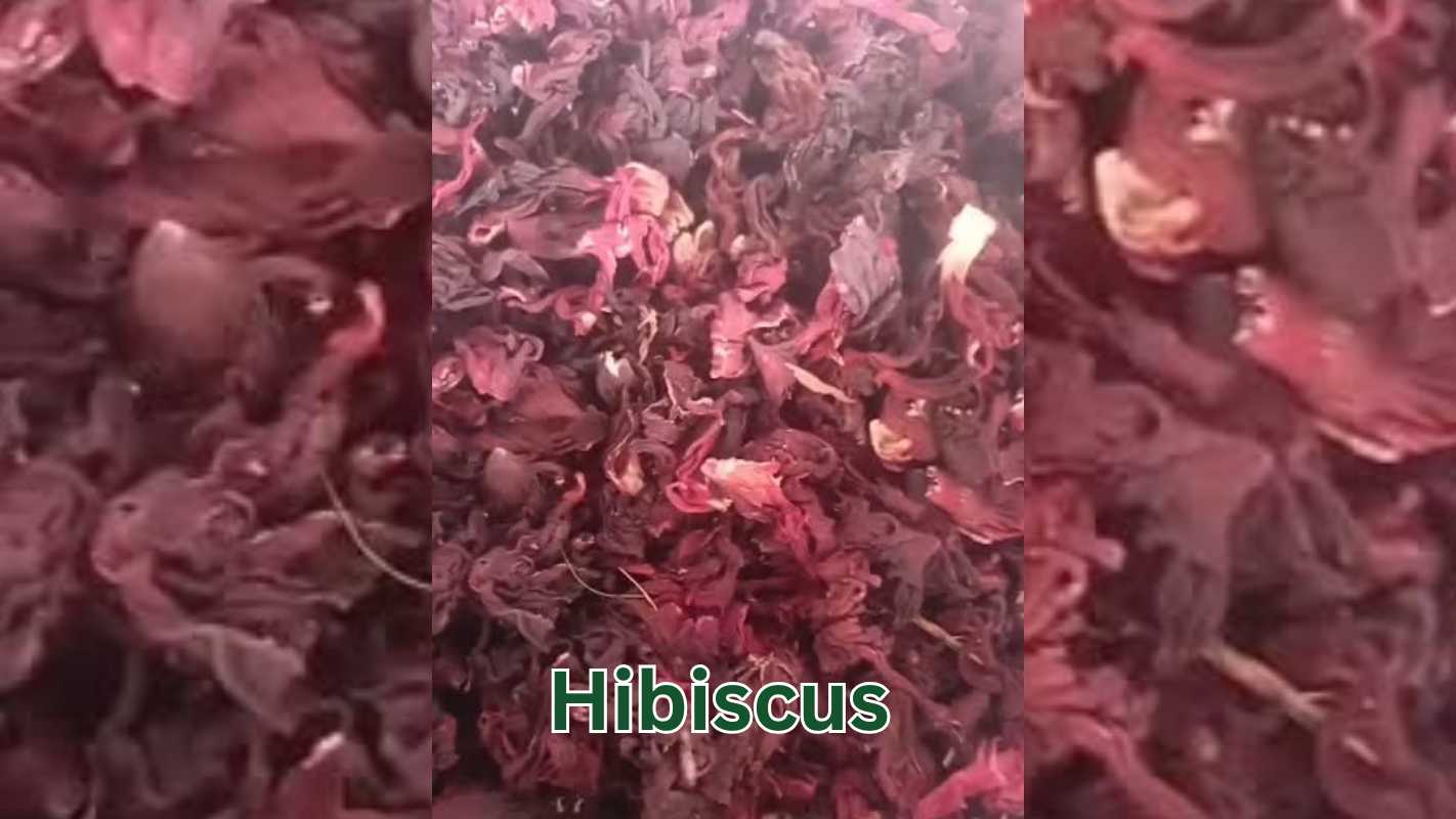 Dried Hibiscus